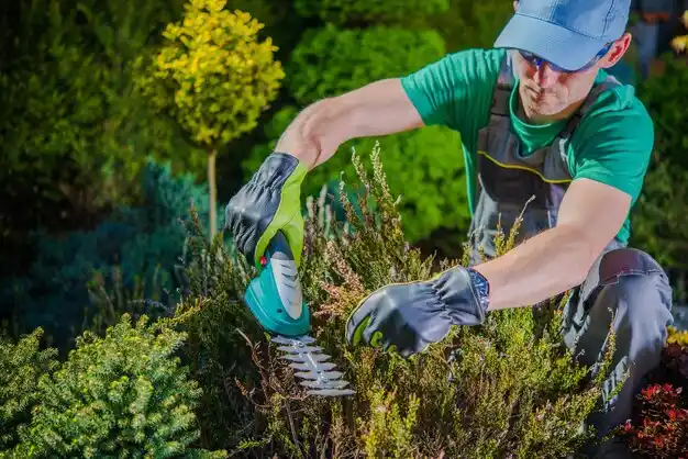 landscaping services Old Jamestown